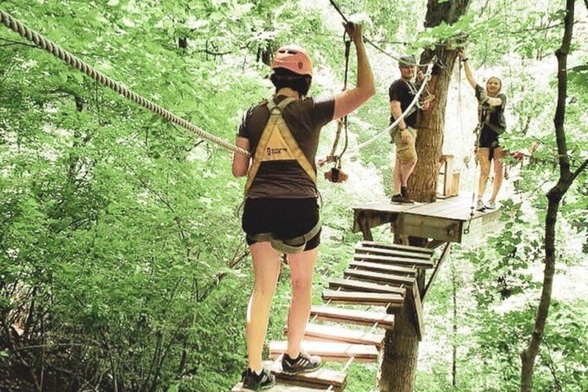 A person on a rope bridge in a forest. 3