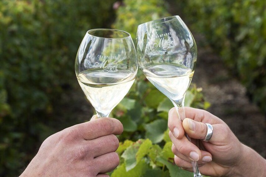 Two hands holding wine glasses with a vineyard in the background. 5