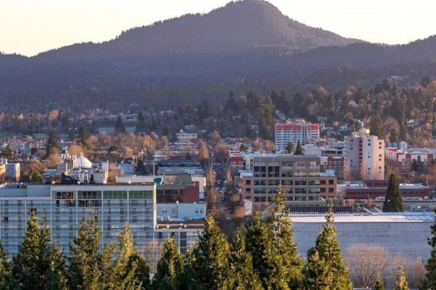 A cityscape with buildings, a hill in the background, and trees in the foreground. 2