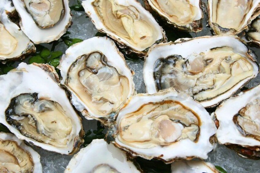 A collection of oysters on ice. 4