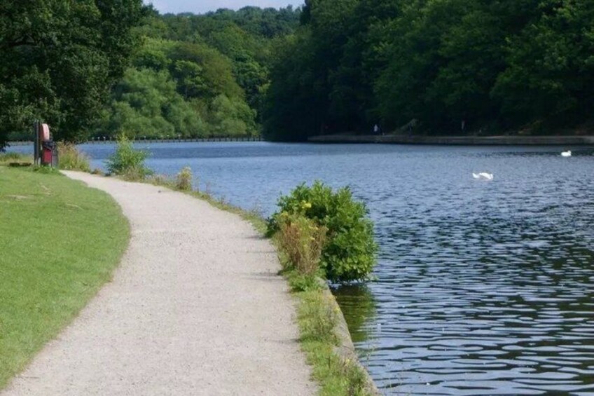 A gravel path beside a calm lake, surrounded by lush greenery and a swan swimming in the water. 3