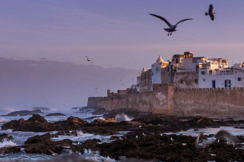 A coastal town with a fortified structure, rocky shoreline, and seagulls flying. 4