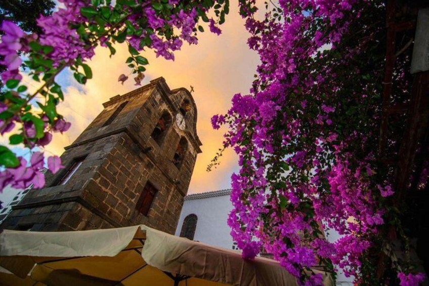 A church tower, purple flowers, and a white building. 5