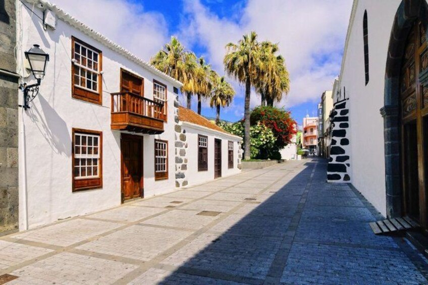 A narrow cobblestone street lined with white buildings, palm trees, and a clear blue sky. 4