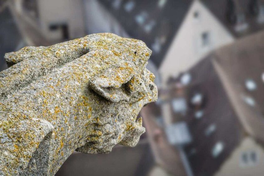 A close-up of a stone lion's head sculpture with lichen growth, set against a blurred background of buildings. 5