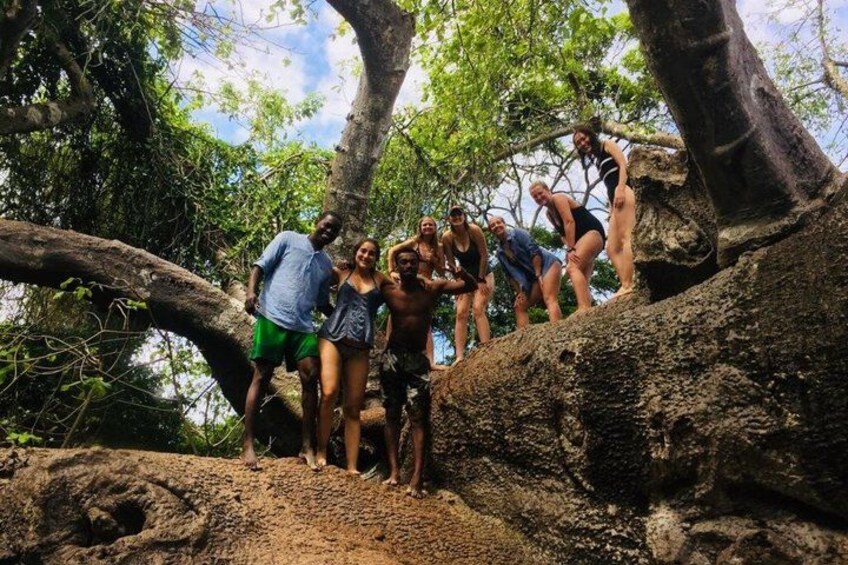 A group of people climbing a tree. 4
