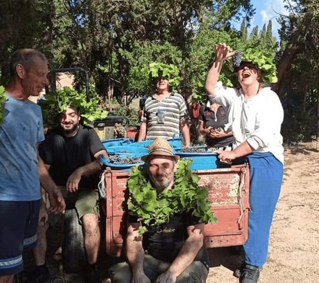 A group of people harvesting leafy greens in a rural setting with trees and a dirt path. 5