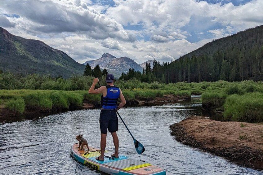 A person paddleboarding on a river with a dog on a board, surrounded by lush greenery and mountains in the background. 4