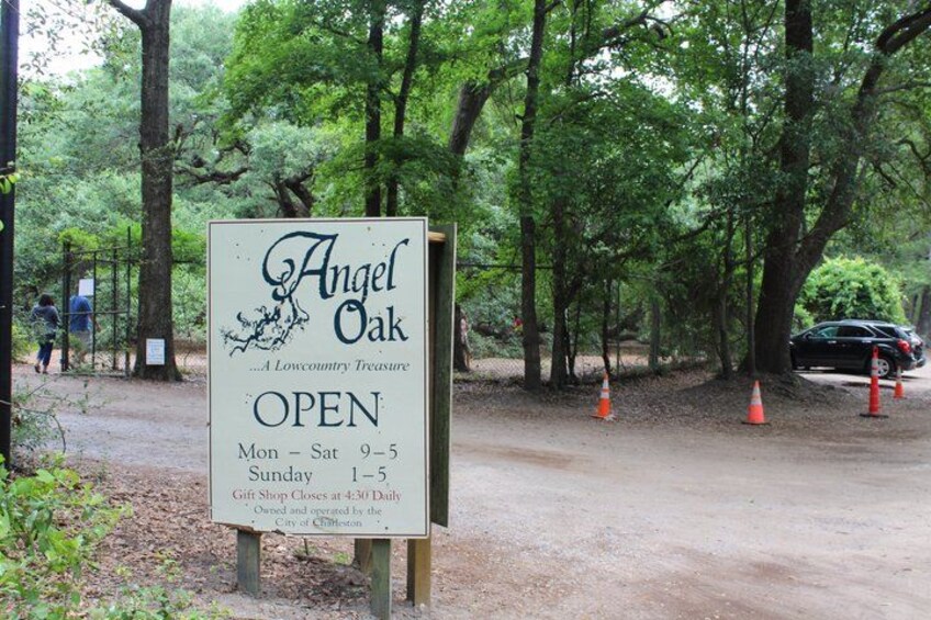 A sign for Angel Oak, a nature reserve, with operating hours and a gift shop. 1