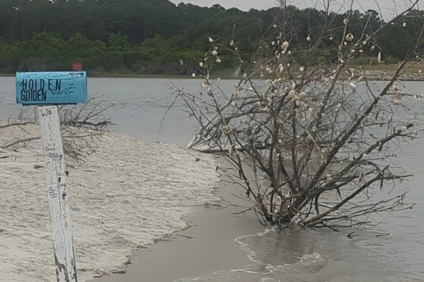 A flooded area with a sign that reads 'HOLDEN GOLDEN.' 3