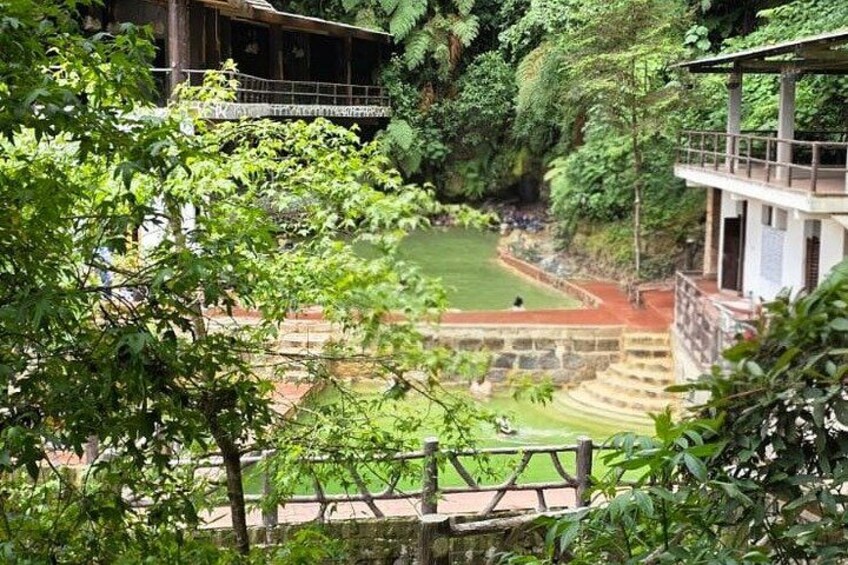 A terraced garden with a wooden structure and lush greenery. 1