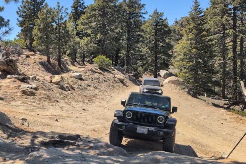 A black off-road vehicle on a dirt trail surrounded by pine trees. 5