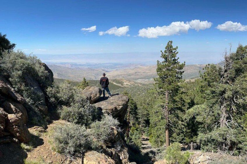 A person standing on a rocky outcrop overlooking a mountainous landscape with trees and a clear sky. 2