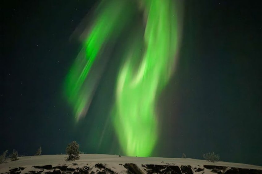 The Northern Lights over a snowy landscape with sparse vegetation. 4