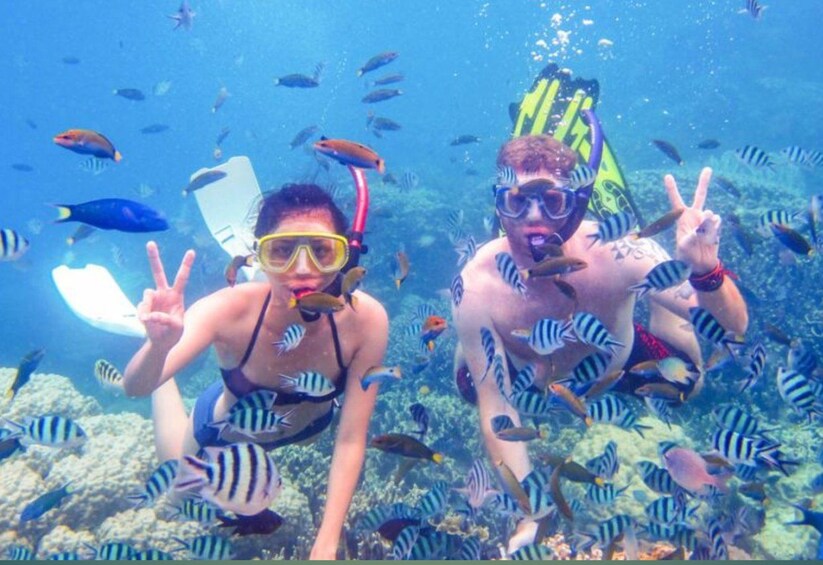 Two people snorkeling underwater surrounded by fish. 1