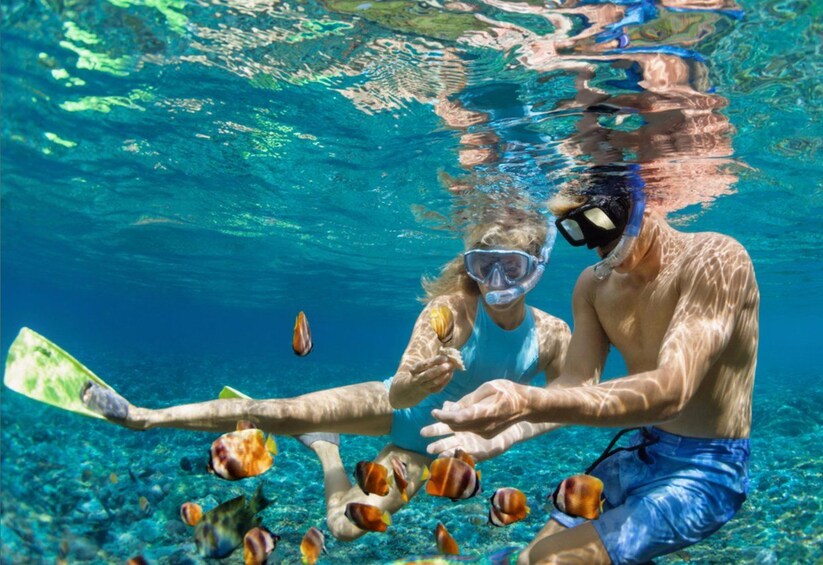 An underwater scene with a person holding a paddle, surrounded by fish. 3