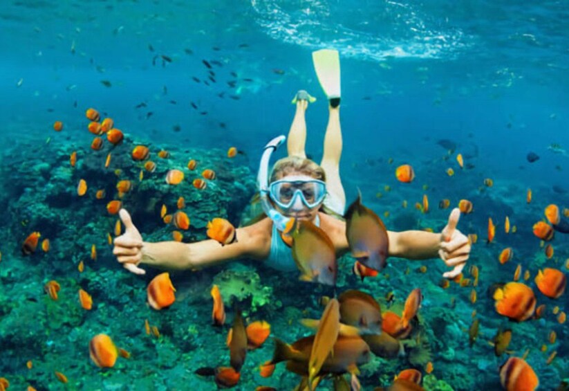A person snorkeling underwater surrounded by fish. 4