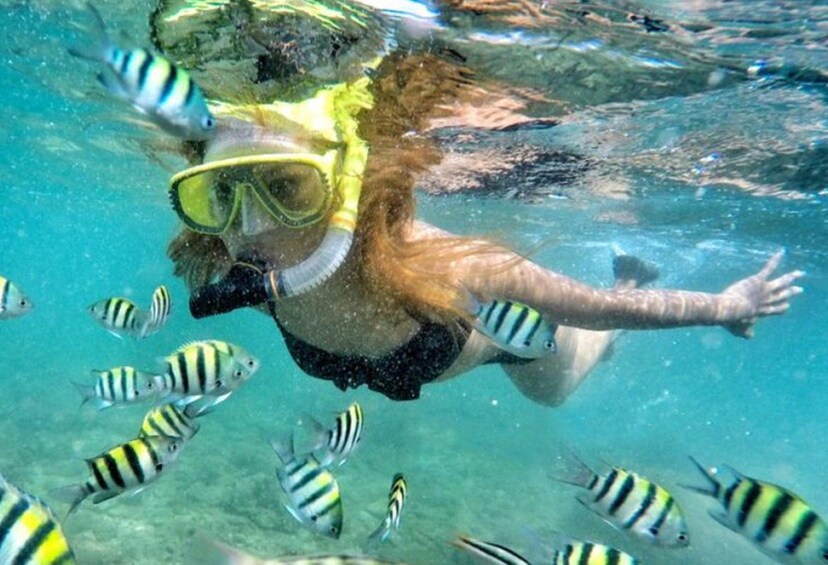 A person snorkeling underwater with striped fish. 2