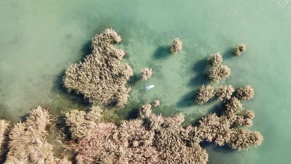 An aerial view of a coastal area with clear water and several small islands or landmasses surrounded by water. 4