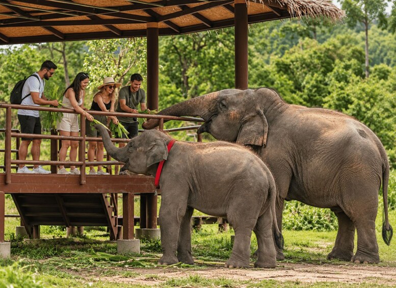 An elephant enclosure with a wooden platform, a baby elephant, and visitors. 3