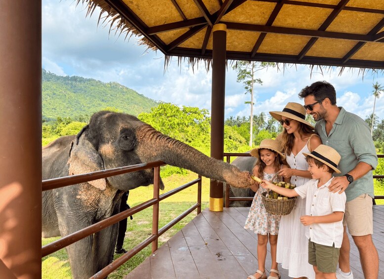 A family interacting with an elephant at a wooden platform with a thatched roof, surrounded by lush greenery and hills. 4
