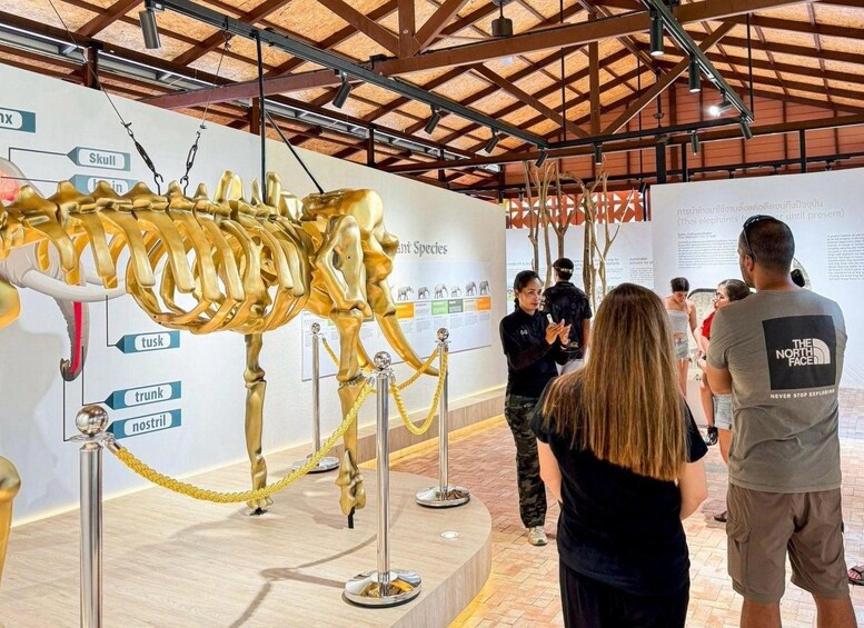 Picture 1 for Activity Koh Samui: Museum, Jungle Walk & Conservation with Guide 3
