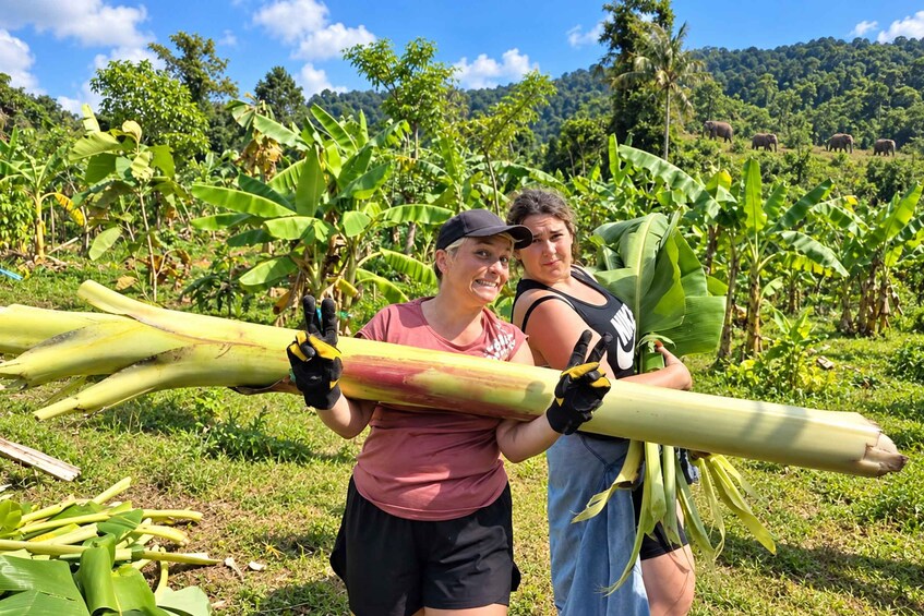 Picture 7 for Activity Koh Samui: Museum, Jungle Walk & Conservation with Guide 4
