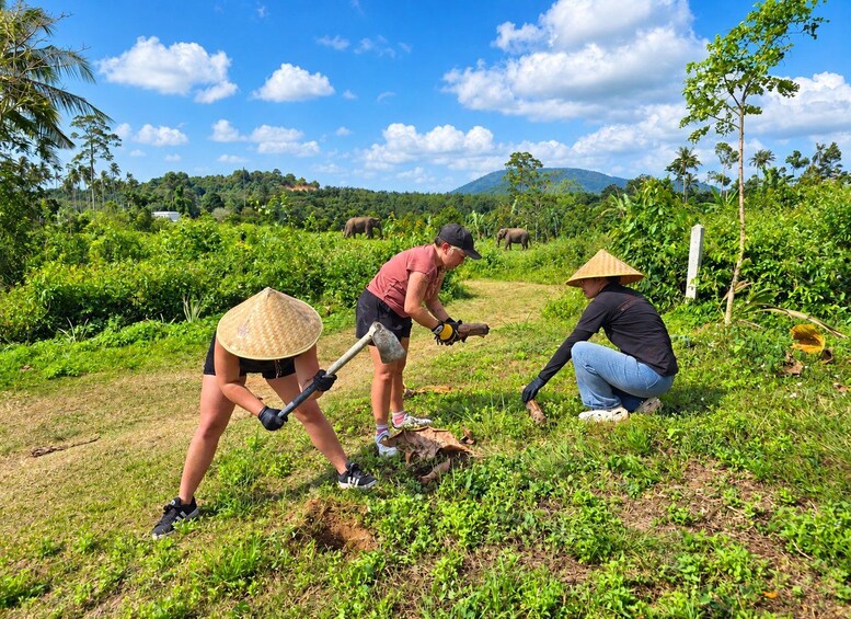 Picture 5 for Activity Koh Samui: Museum, Jungle Walk & Conservation with Guide 2