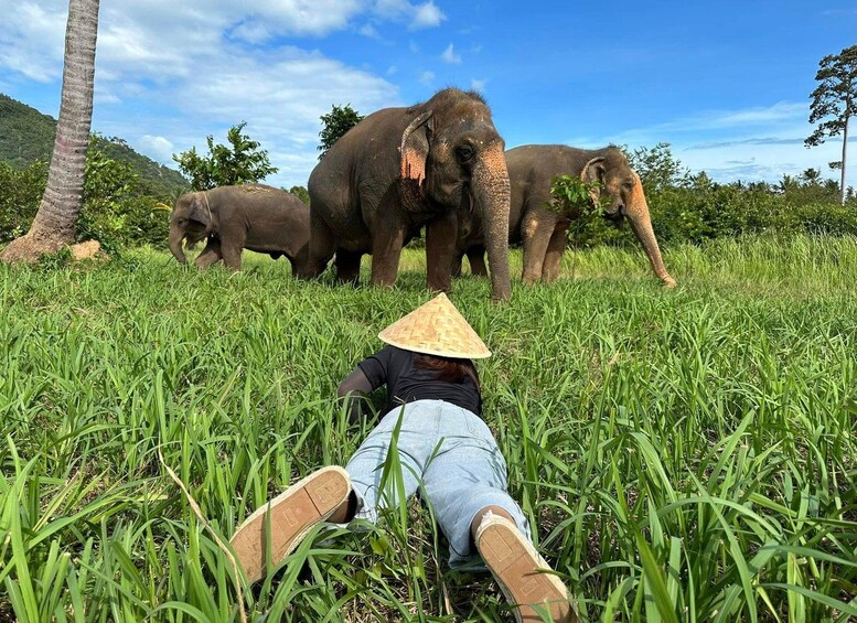 Picture 8 for Activity Koh Samui: Museum, Jungle Walk & Conservation with Guide 5