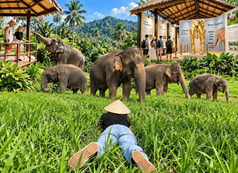 Koh Samui: Museum, Jungle Walk & Conservation with Guide 1