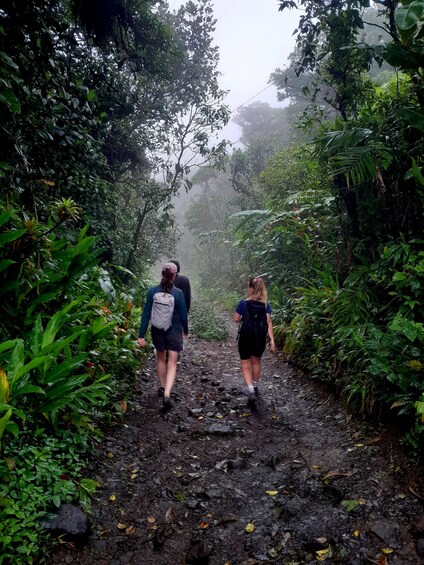 Two people walking on a muddy path surrounded by dense foliage. 4