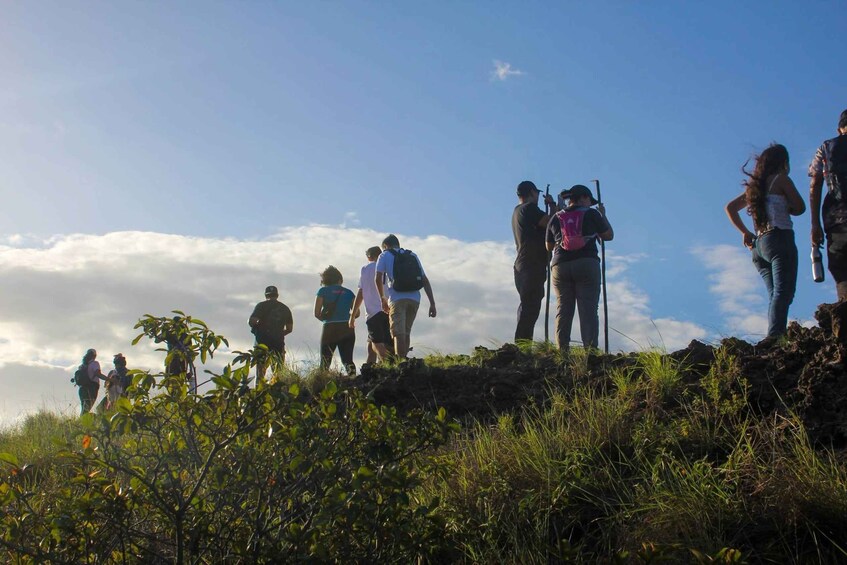 A group of hikers on a mountain trail with vegetation and a clear sky. 5