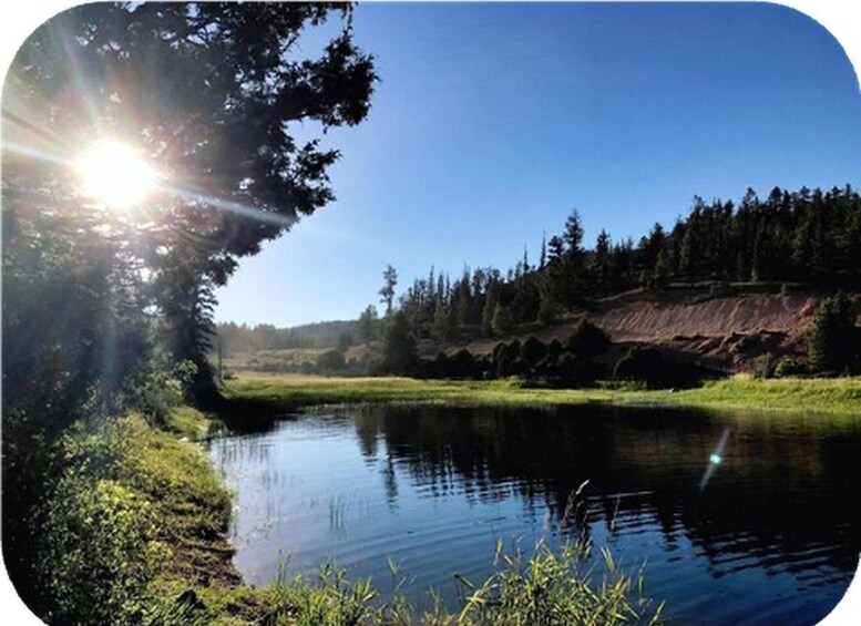 Un lago tranquillo circondato da alberi e un pendio boscoso. 3