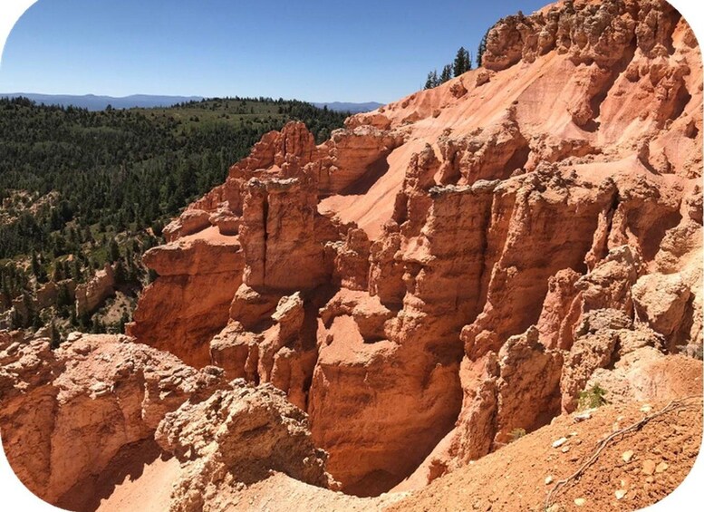 Paesaggio impervio di un canyon, con imponenti formazioni rocciose rosse e una valle boscosa sullo sfondo. 2