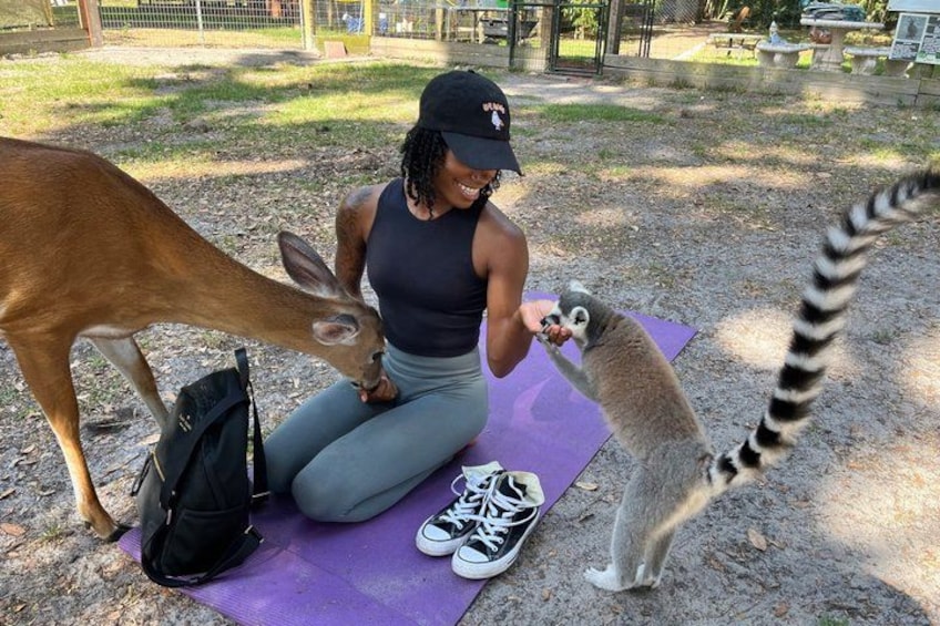 A person on a purple mat with a deer and a raccoon. 1