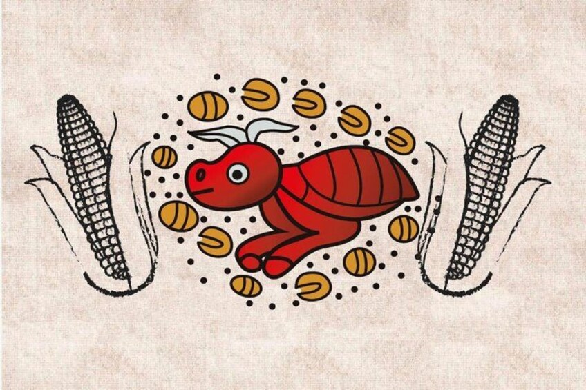 A cartoon character with corn cobs and beans. 5