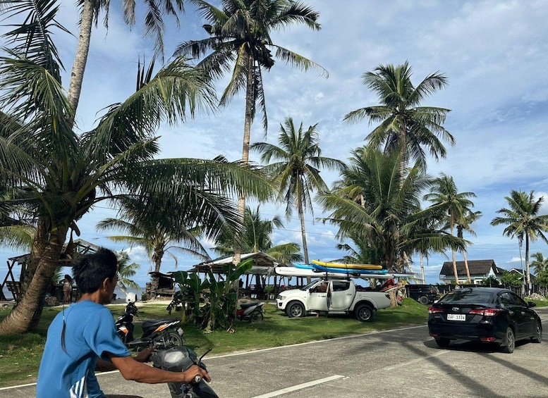 A man riding a motorcycle on a road lined with palm trees, a white pickup truck, and a black car. 1