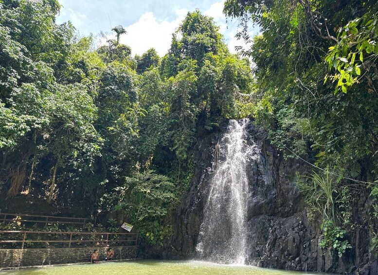 A waterfall surrounded by lush greenery. 3