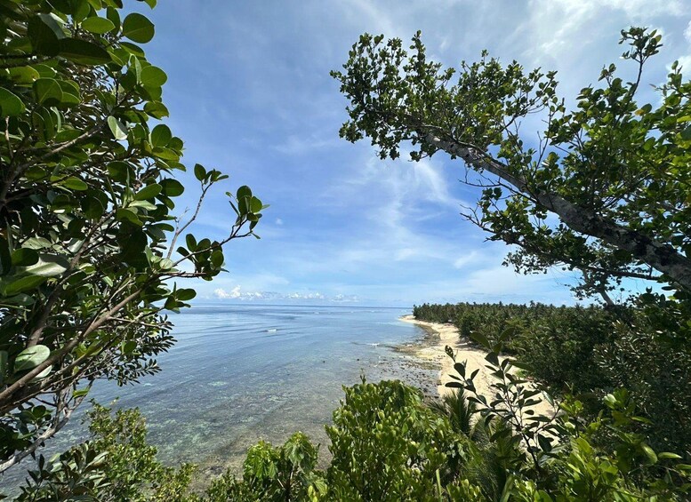 A coastal landscape with clear blue waters, sandy beach, and dense tropical foliage. 4