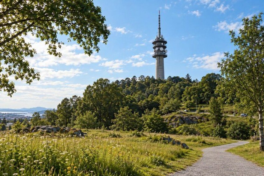 A tower on a hill, a path, and surrounding greenery. 2
