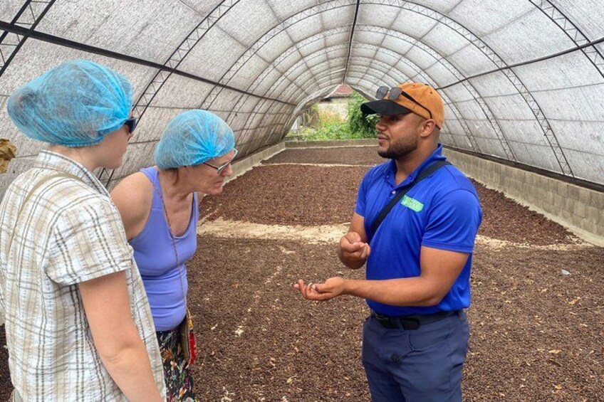 A greenhouse with people discussing. 4