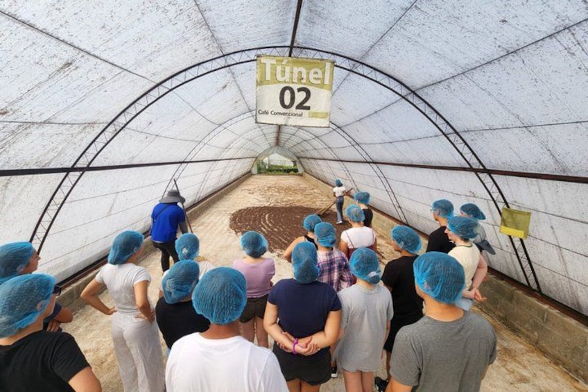 A group of people in a tunnel with a sign reading 'Tunnel 02 Cafe Convivial.' 3