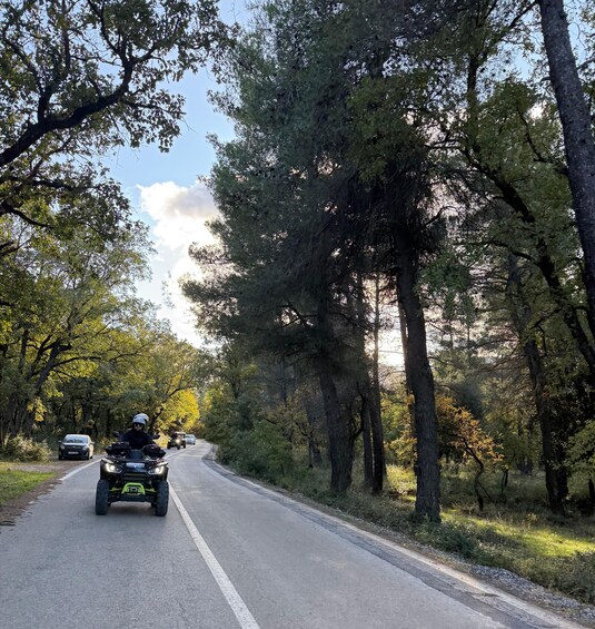 A road flanked by trees with a motorcyclist and a car ahead. 2