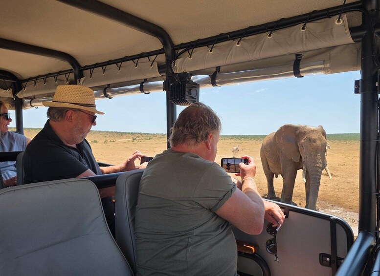 Picture 5 for Activity Addo Elephant Park Half-Day Safari (Open 4X4 Vehicle) 3
