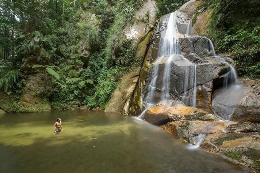A waterfall, a person standing in a pool, and lush greenery. 3