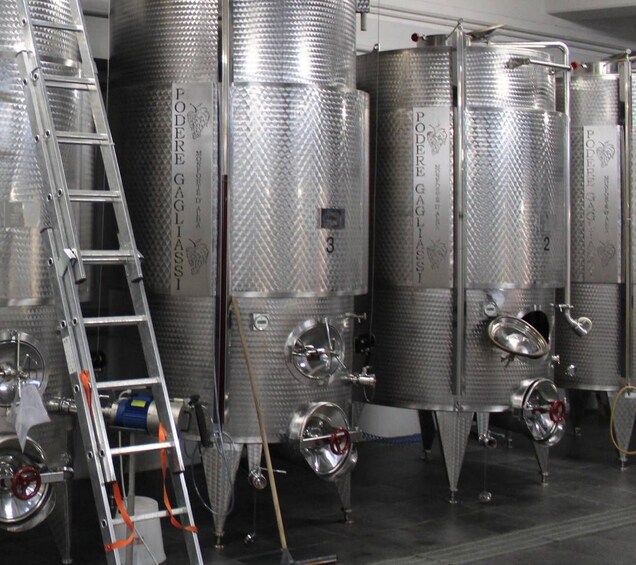 Tanques de fermentación de acero inoxidable con escaleras y válvulas, probablemente en una cervecería o bodega. 5