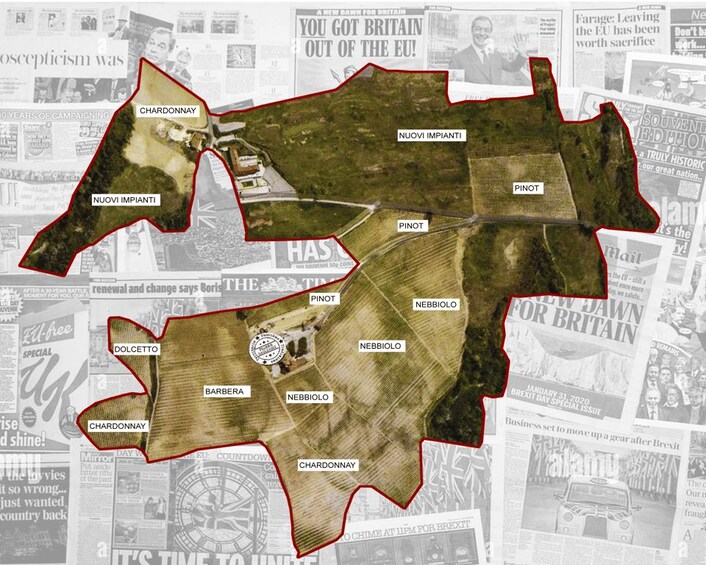Mapa de un viñedo con indicaciones de diferentes variedades de uva como Chardonnay, Pinot y Nebbiolo. 2