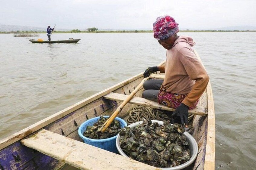A person in a boat harvesting fish. 2