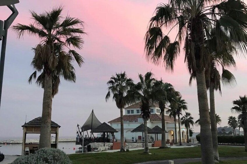 A coastal area with palm trees, a gazebo, and a building with a red roof. 5