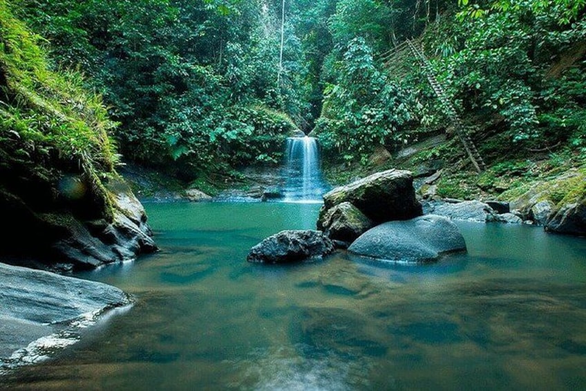 A waterfall in a forested area with rocks in the water. 1